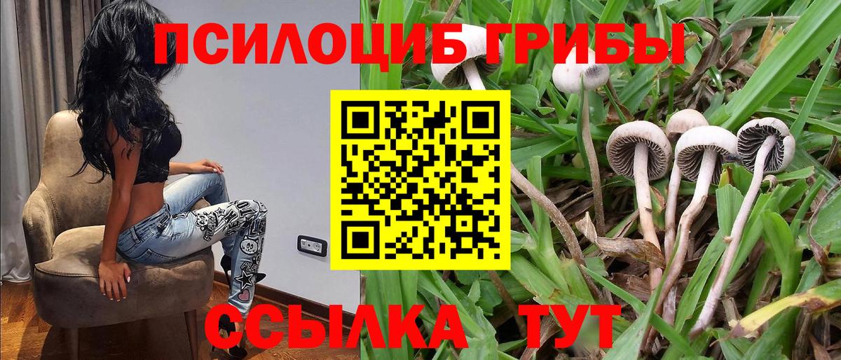 Галлюциногенные грибы Psilocybine cubensis Аша