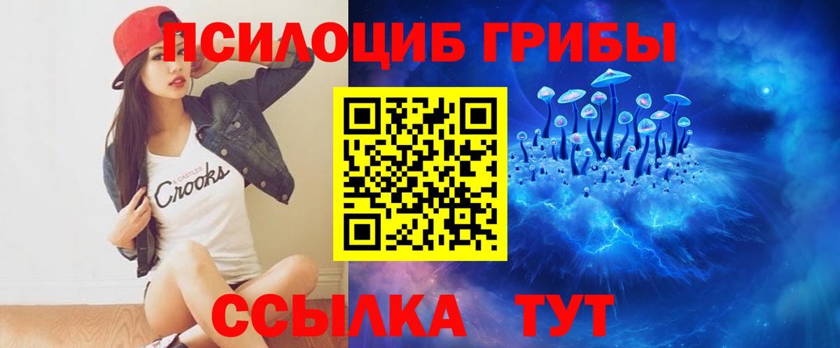 Аша  Псилоцибиновые грибы Psilocybine cubensis  Вход с VPN 